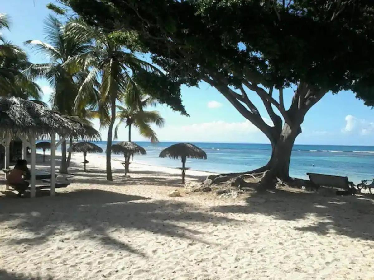 KARIBEKO : Exceptionnel&Rare : Plage , Piscine, WiFi privé Saint-Francois  Extérieur photo